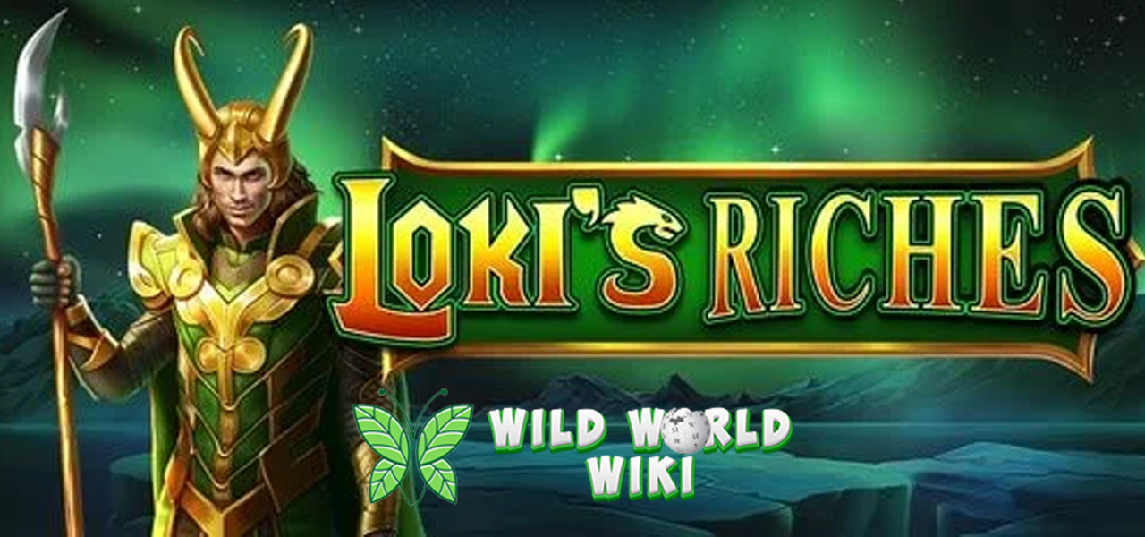 Terungkap Pola Jitu Slot Loki’s Riches Bikin Banjir Scatter!