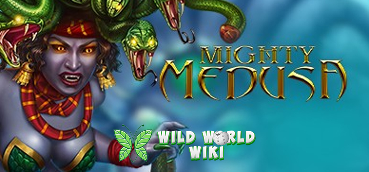 Slot Mighty Medusa RTP Ruby8000 Bikin Tajir Mendadak!