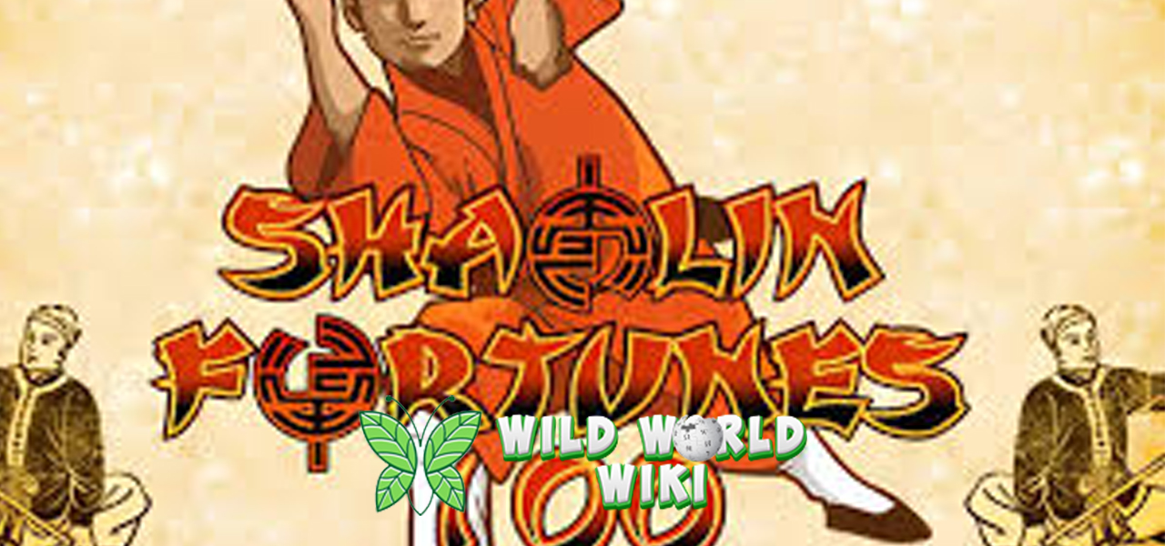Temukan Kekuatan Slot Shaolin Fortunes 100 di Ruby8000 Login!