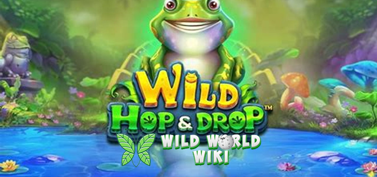 Slot Online dan Slot Gacor Deposit Dana Wild Hop & Drop Seru