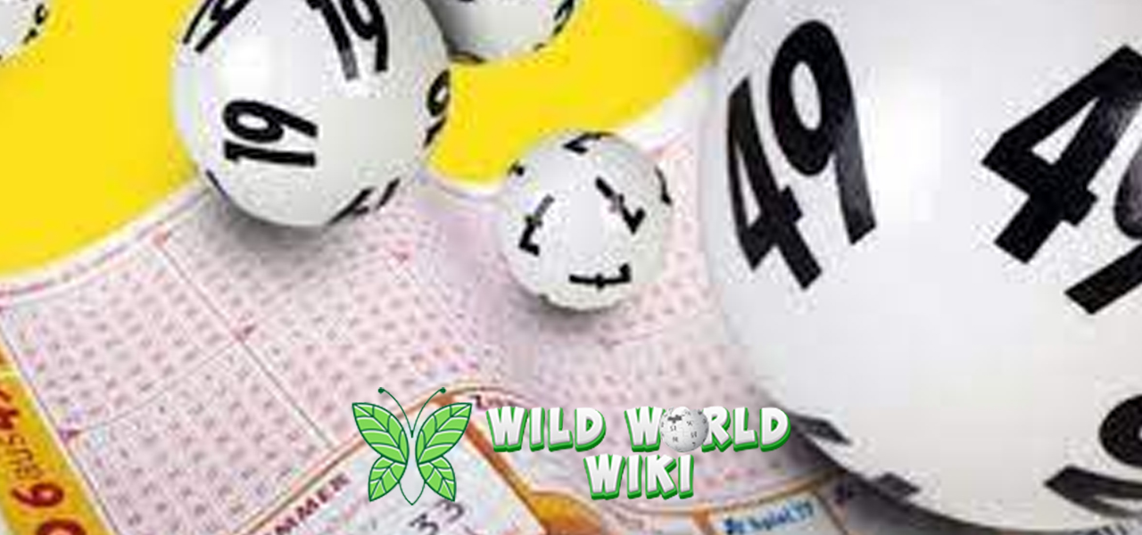Fenomena Pasaran Togel Online Bikin Penasaran Pemain!