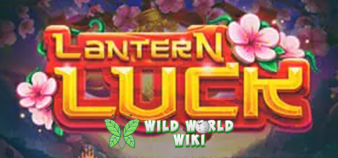 Slot Online 2025 Lantern Luck, Terangin Hari Baru Gemerlap