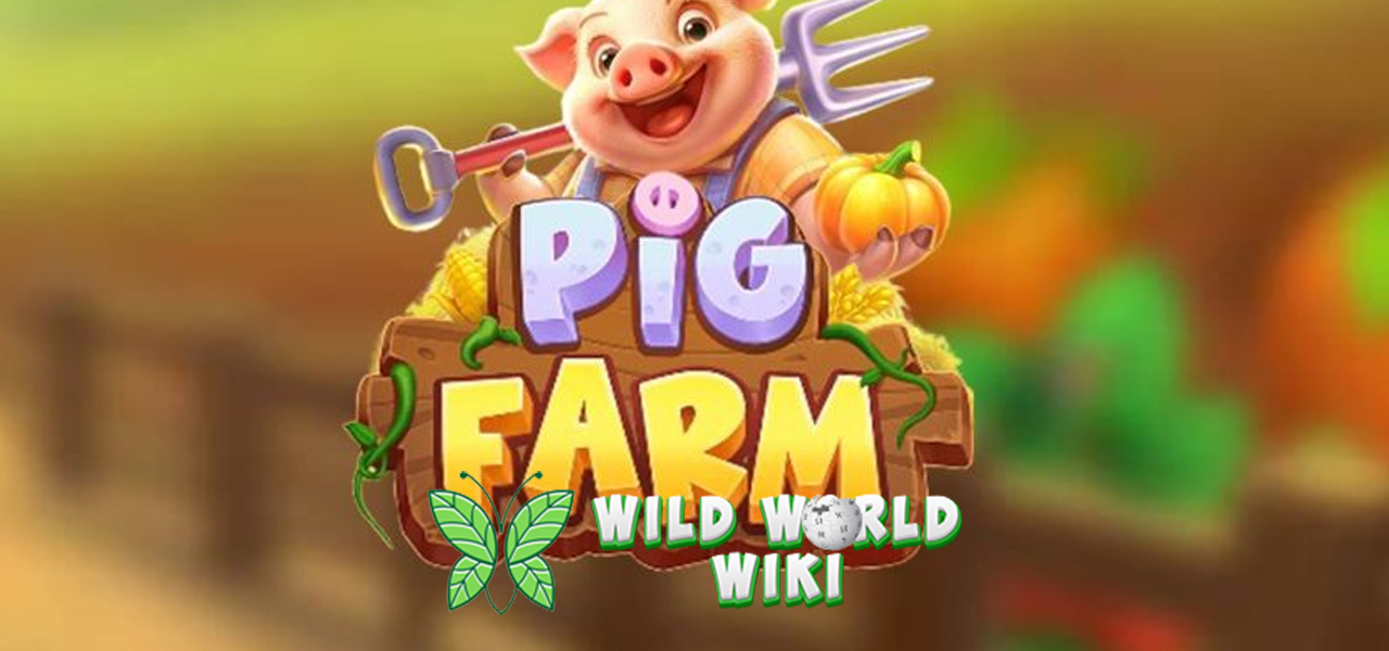 Login Cnnslot Inspirasi Budaya 3 Pecinta Slot The Dog House 3 Login Cnnslot Inspirasi Budaya 3 Pecinta Slot The Dog House