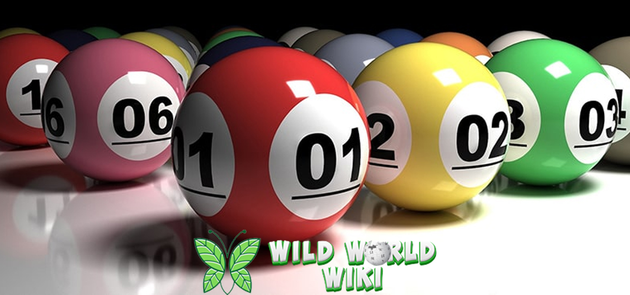 Font Khusus Ruby8000 Togel yang Bikin Mata Tidak Lelah 3 Font Khusus Ruby8000 Togel yang Bikin Mata Tidak Lelah