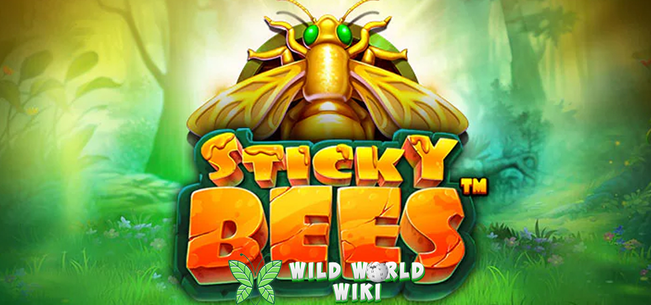 Sticky Bees Penuh Scatter Emas Alternatif RTP8000 3 Sticky Bees Penuh Scatter Emas Alternatif RTP8000