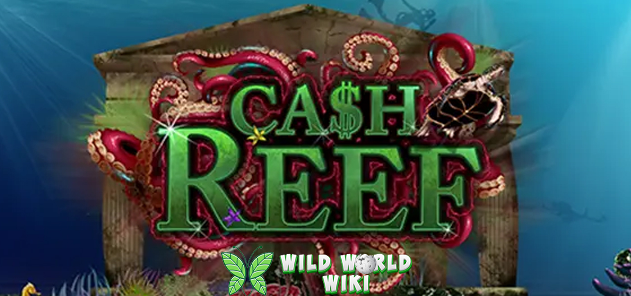 Cash Reef 50 Lautan Luas via Login Resmi Cnnslot