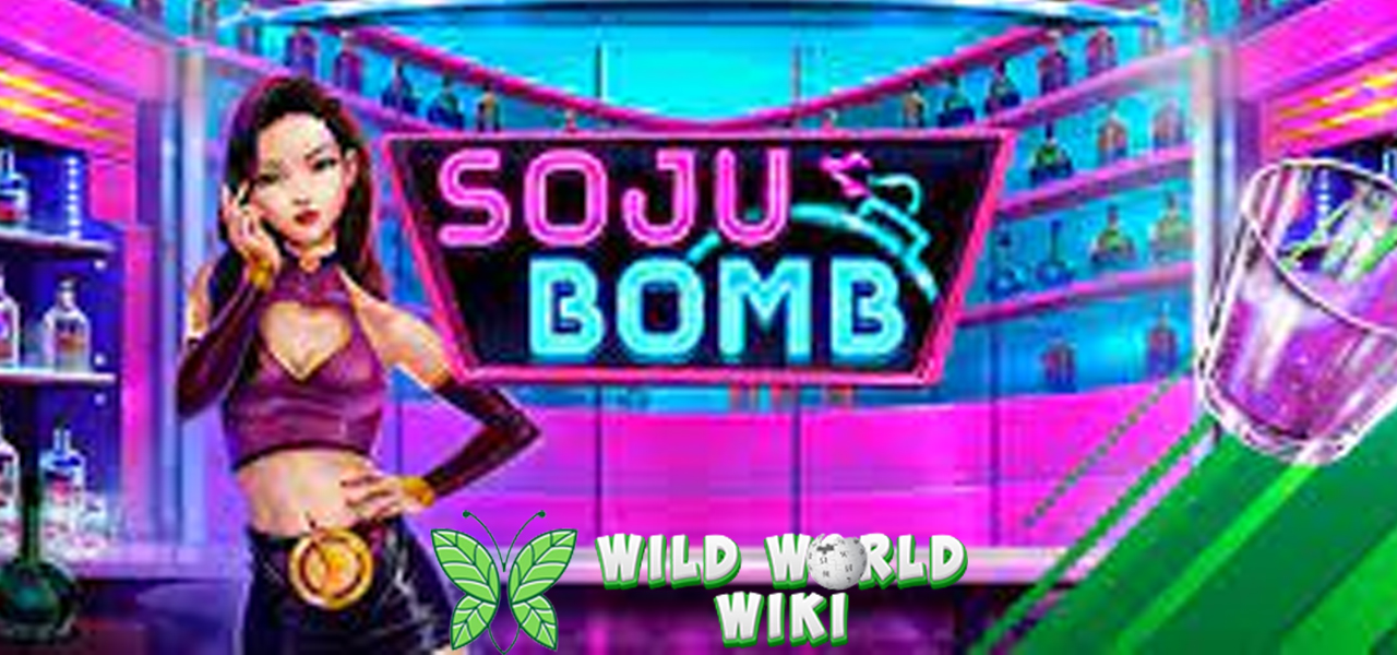 Pemain Soju Bomb Cnnslot 2025 Langsung Mabuk Duit! 3 Pemain Soju Bomb Cnnslot 2025 Langsung Mabuk Duit!