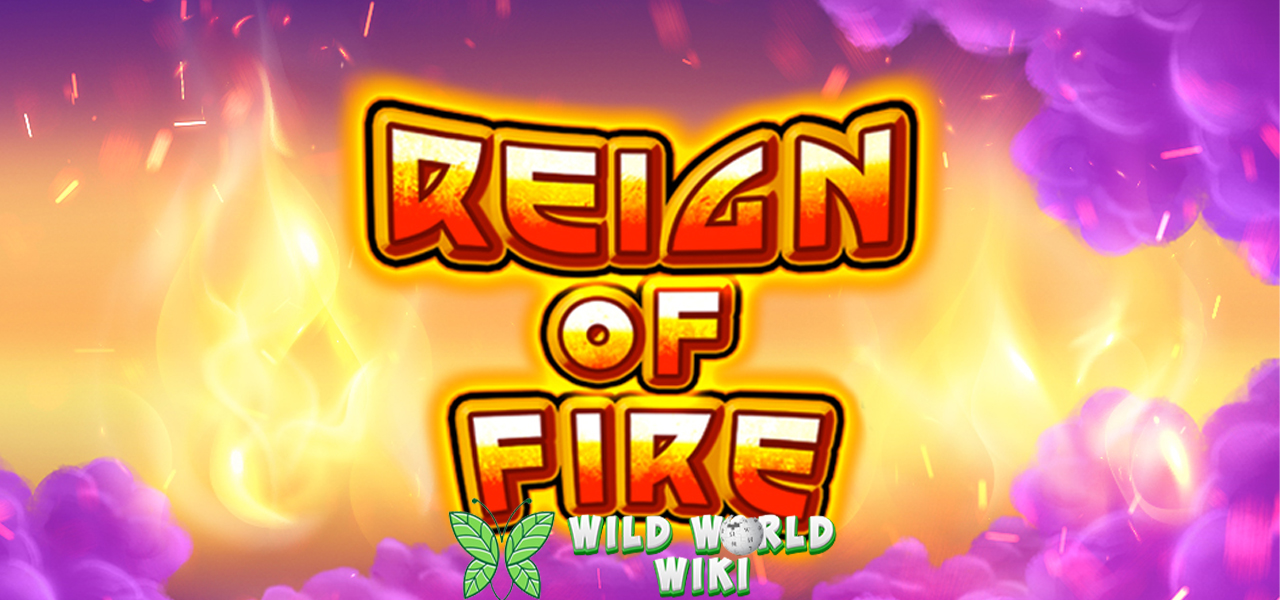 20 Taktik Bertahan di Game Digital Reign of Fire! 3 20 Taktik Bertahan di Game Digital Reign of Fire!