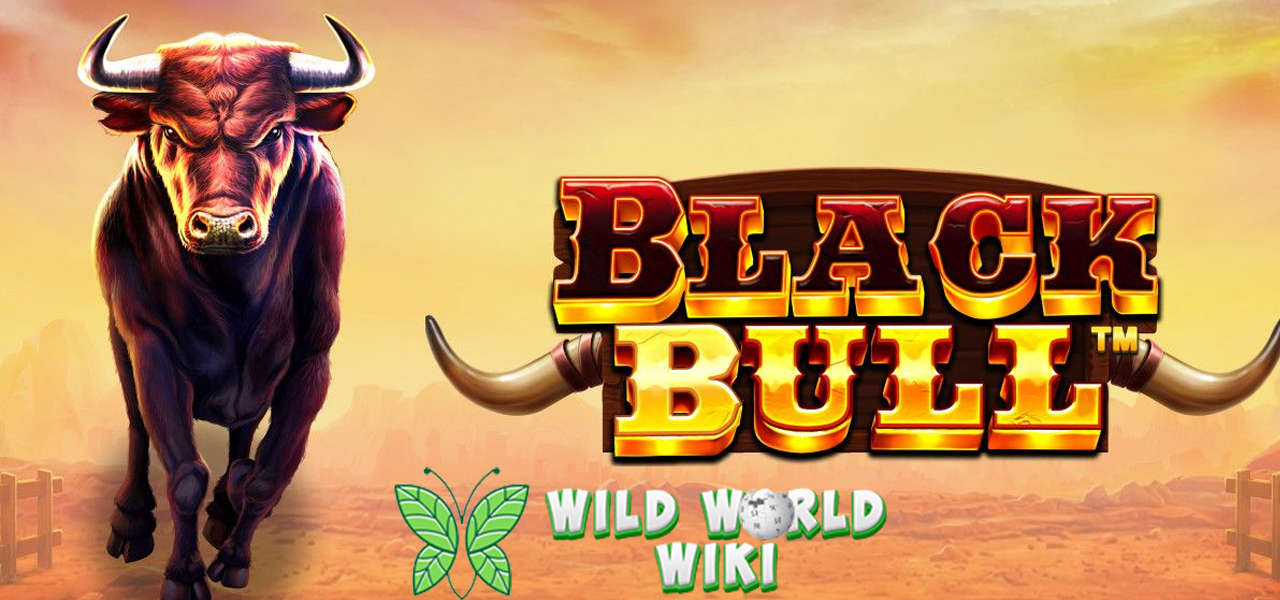 Cnnslot 2025 Torero Trik Hadapi Black Bull Arena Spanyol 3 Cnnslot 2025 Torero Trik Hadapi Black Bull Arena Spanyol