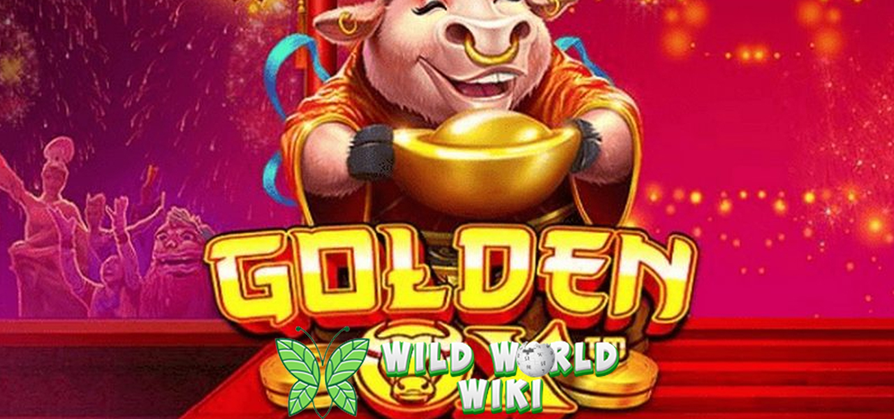 Golden Ox dalam Cnnslot 2025 Slot Paling Maknyus!