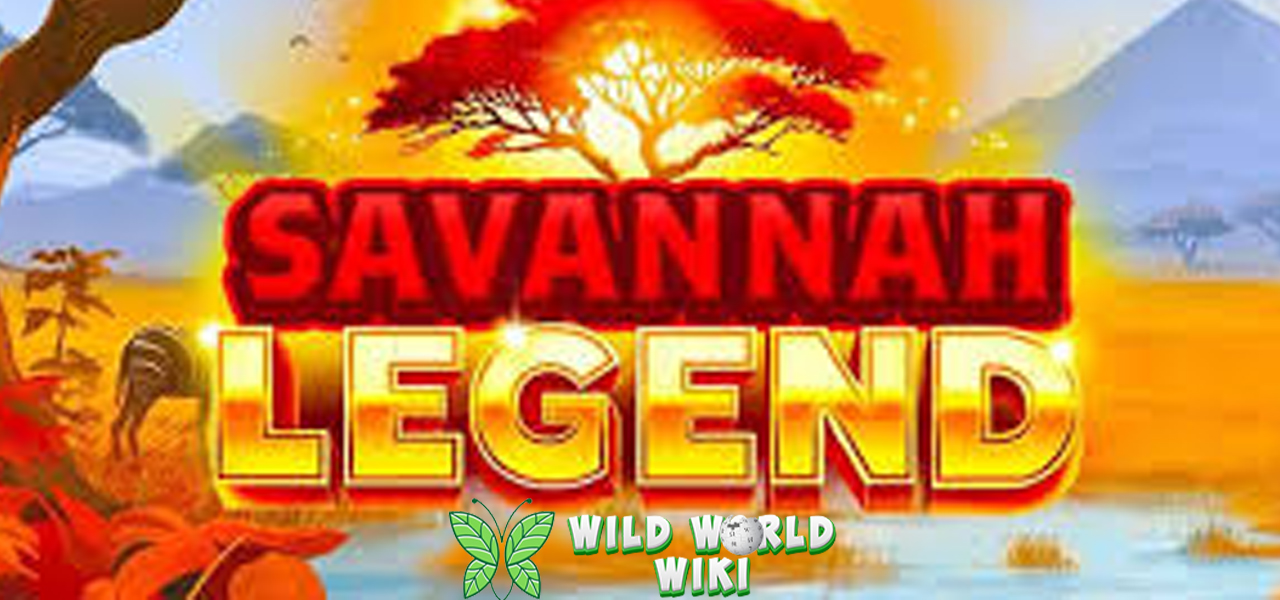 Savannah Legend Epik Login Cnnslot Menunggu 500 3 Savannah Legend Epik Login Cnnslot Menunggu 500