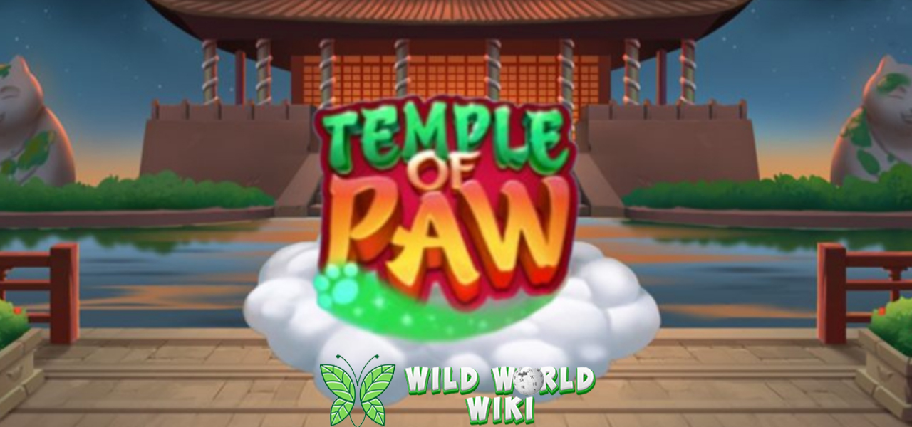 Temple Of Paw Hadir 20 Eksklusif Login Cnnslot 3 Temple Of Paw Hadir 20 Eksklusif Login Cnnslot