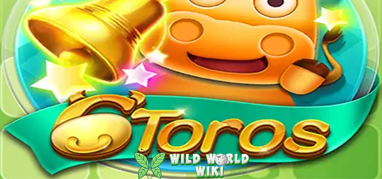 Link Ruby8000 Adu Kuat di 6 Toros, Hadiah Bikin Ngiler 3 Link Ruby8000 Adu Kuat di 6 Toros, Hadiah Bikin Ngiler