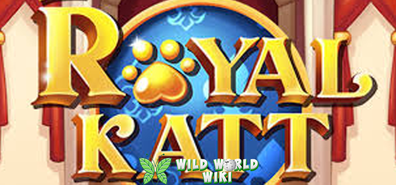 Ruby8000 Slot Bertarung Premium Royal Katt! 3 Ruby8000 Slot Bertarung Premium Royal Katt!