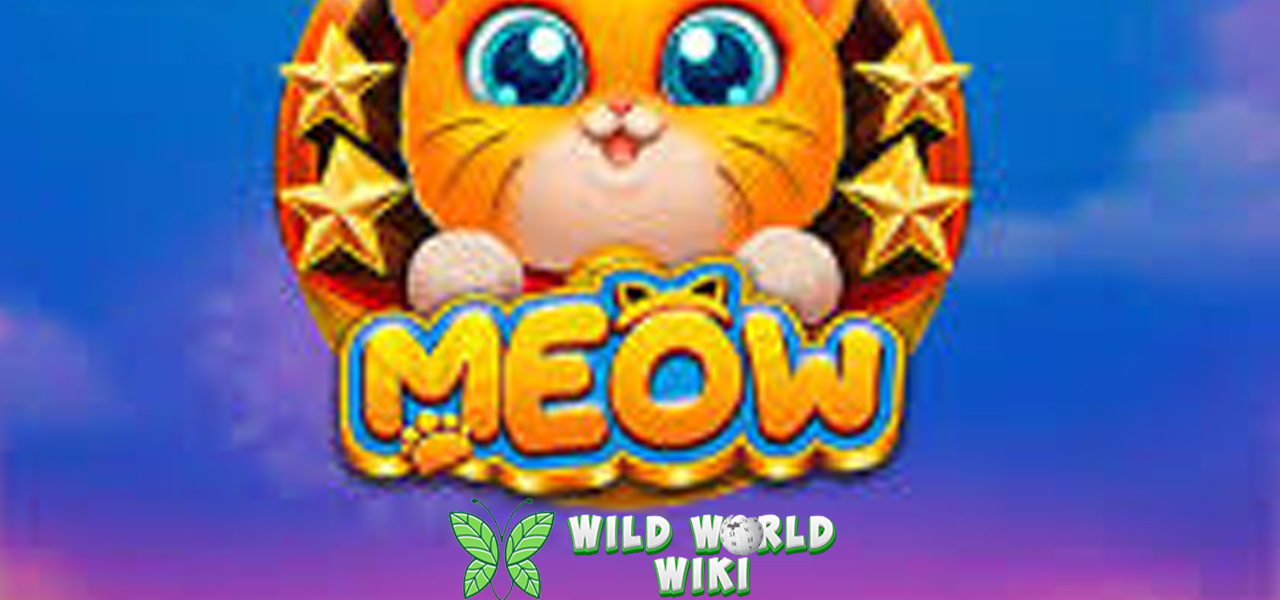 Bandar Slot88 Meow Animasi Bisa Bikin Ngiyong 3 Bandar Slot88 Meow Animasi Bisa Bikin Ngiyong