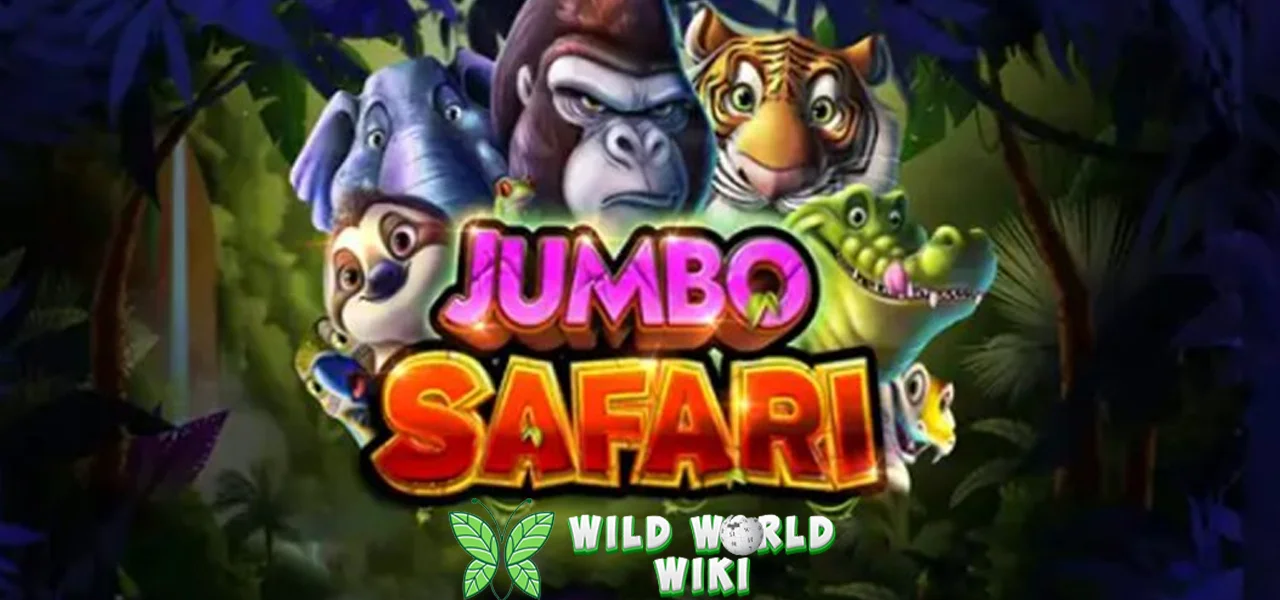 Jumbo Safari Pamer 13 Kekayaan Gahar Banget 1 Jumbo Safari Pamer 13 Kekayaan Gahar Banget