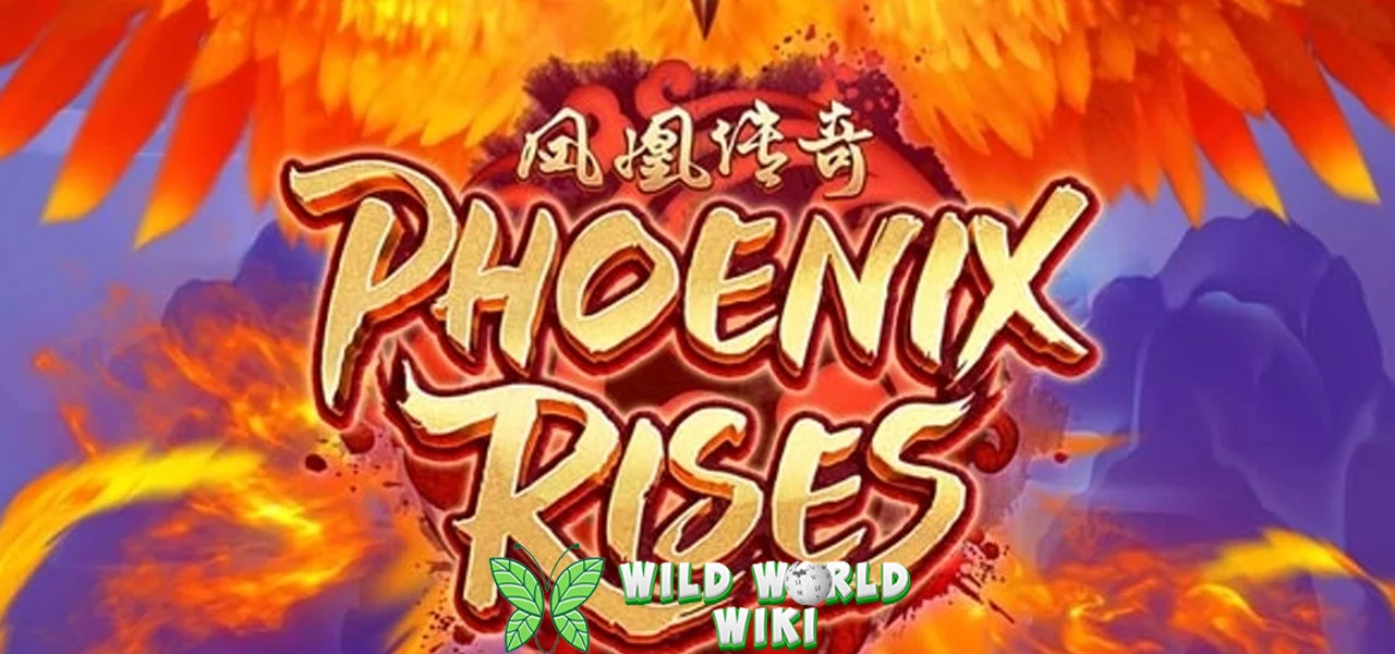 Phoenix Rises Game Macam Tajam Dapat 1 THR