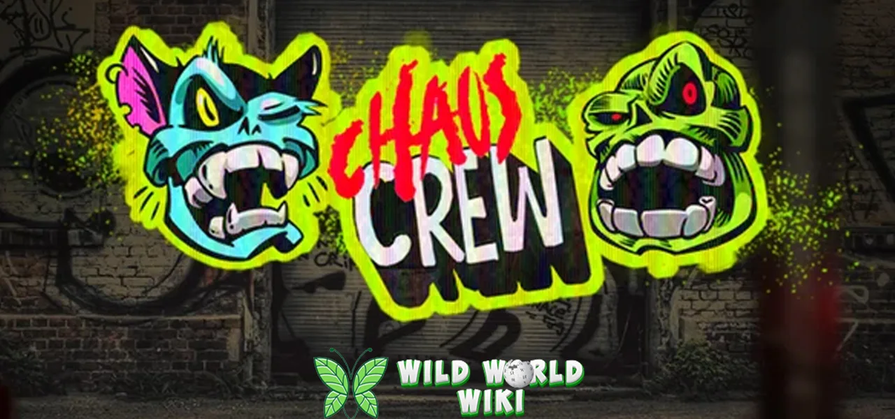 Chaos Crew Situs Slot Online 4D, Tajam Koyok Gasing!