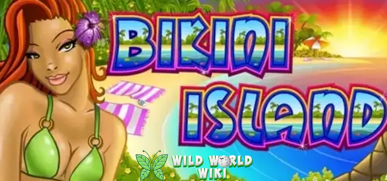 Hiring Staff Bikini Island 40 Kompeten Loyal 1 Hiring Staff Bikini Island 40 Kompeten Loyal