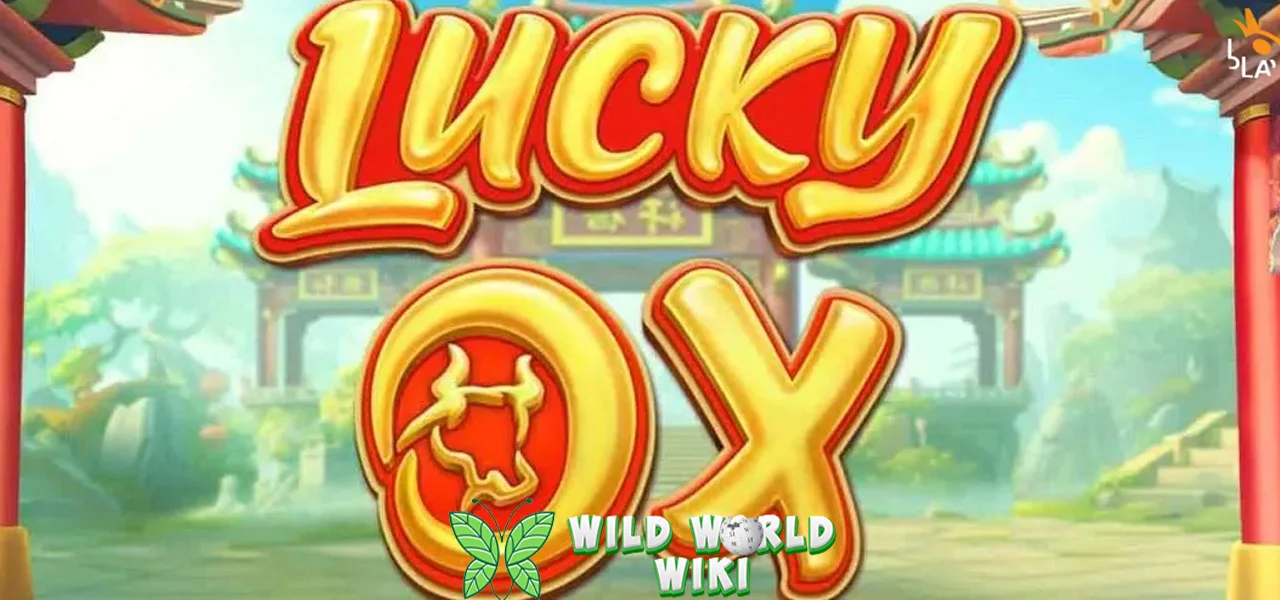 Lucky Ox Tuntas Begitu Saja 500 Tantangan
