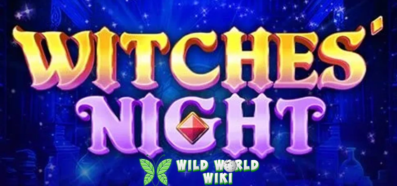 Witches Night Pengaman Situs Slot Terbaru 10 Malam
