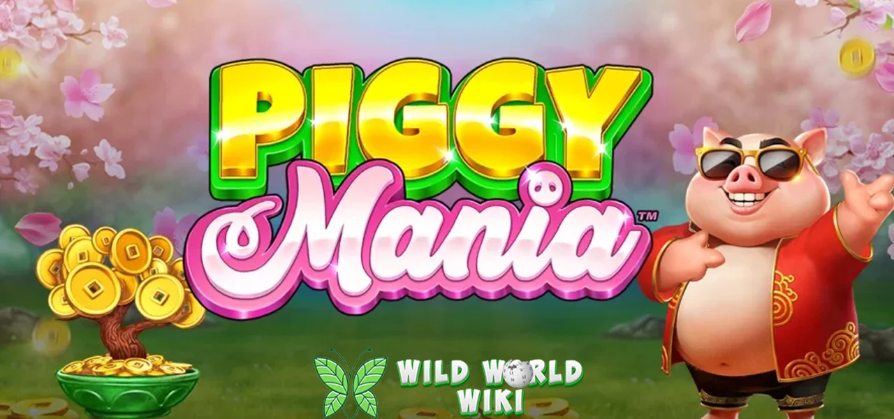 Konspirasi Piggy Mania Kualitas Bobol 20 Brankas