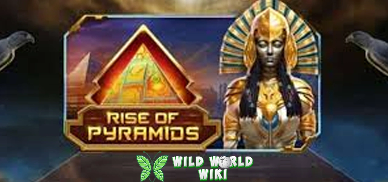 Rise Of Pyramids 09 yang Baru Admin