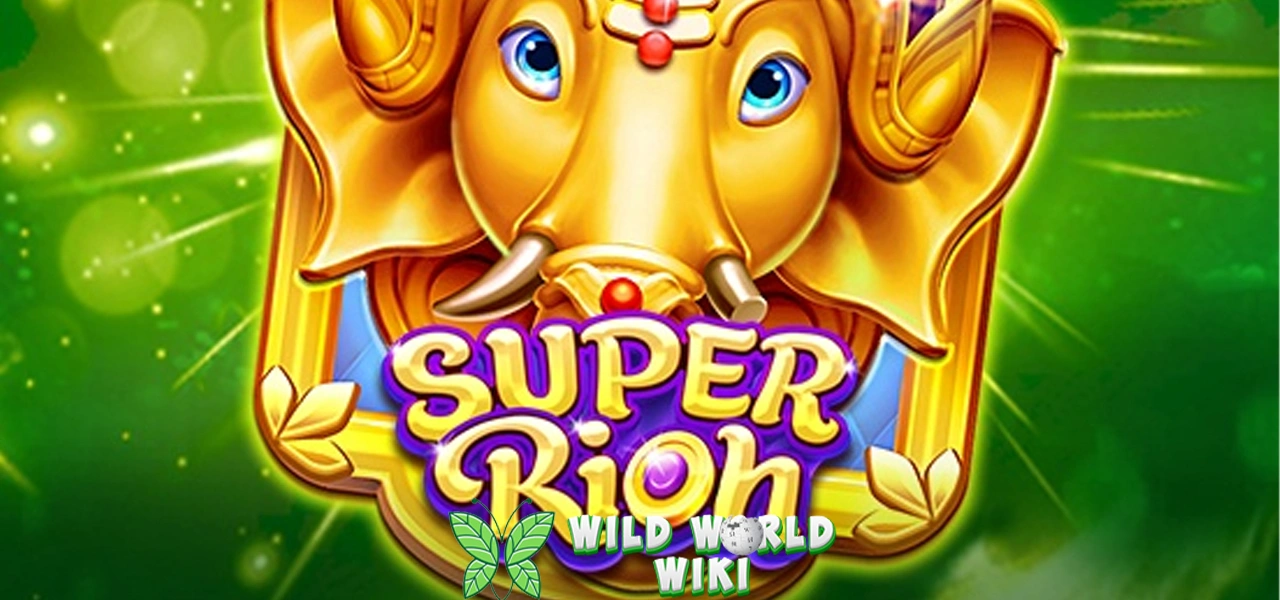 Super Rich 36 Prediksi Sukses Finansial Terjamin!