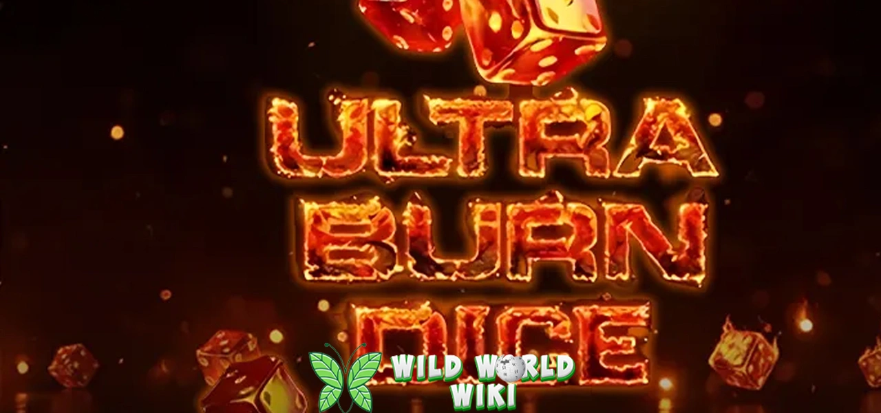 Ultra Burn Dice: Libas Semua 55 Bonus Tanpa Sisa