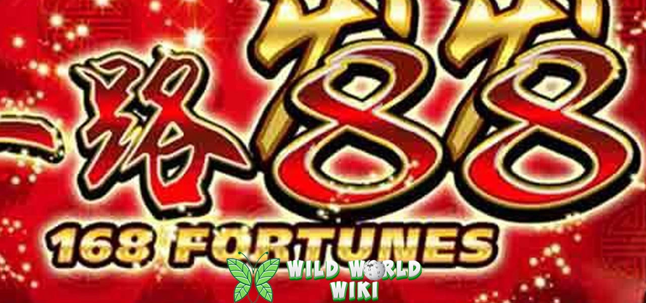 168 Fortunes Relate Kreatif Kebangetan